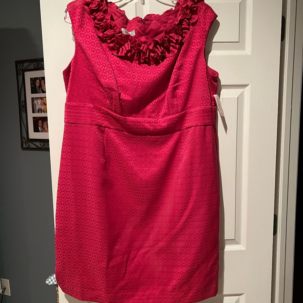 NWT Fuschia color dress